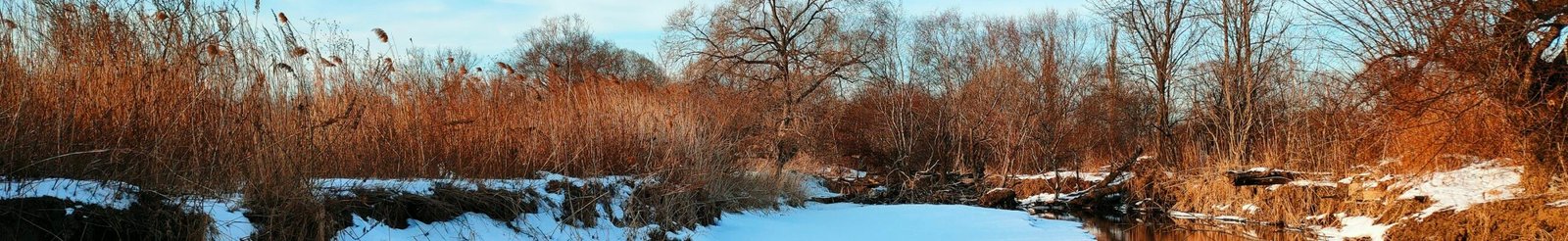 photo-1579353977828-2a4eab540b9a-4